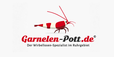 Logo Design | mediadesign linke Logoentwicklung / Logodesign aus Essen für www.garnelen-pott.de / Garnelenpott.de - dem Wirbellosenspezialist im Ruhrgebiet